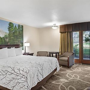 King Room Roll Shower Disability Access or Non-Smoking